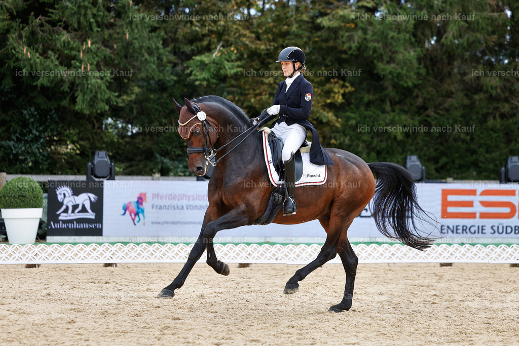 11-215-Dressur S___-StoibPH-1003 | working equitationturnier fotograf videograf stoibphotography marixx film working equitation deutschland reitsport turnierfotografie eventfotografie equestrian events