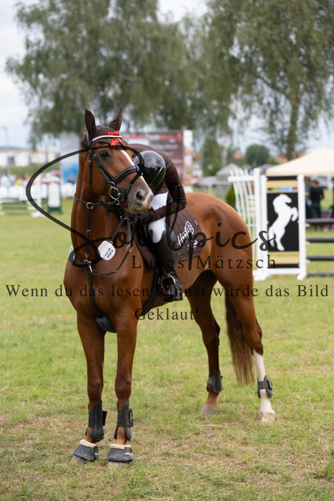 A7V05608 | Pferdefotograf