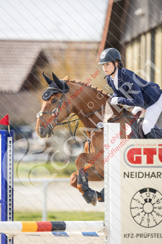 IMG_4219 | Sport-, Event- und Tierfotos in Profiqualität. Einfach auswählen, bestellen und herunterladen. Dein Moment – perfekt festgehalten.