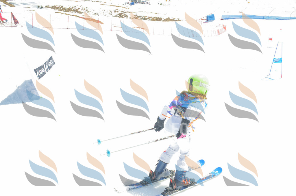 _ELE6249 | holidayphoto