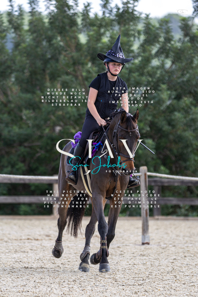 IMG_3264 | s-jay-photography - Realisiert mit Pictrs.com