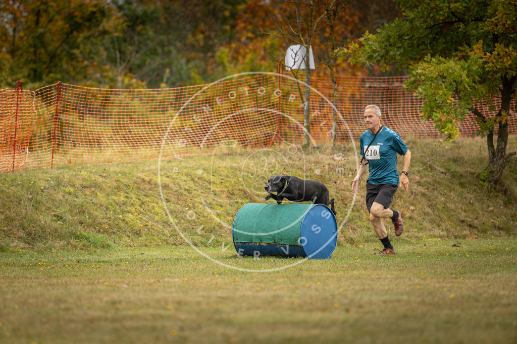 Pfotenfotografie_DV3A2782 | Hundefotografie, Tierfotograf, Pfotenfotografie, Fotoshooting Hund, Hunde Portrait, Hundesport, Hundeportraits, Heideshooting, Hunde, Sportfotograf, Hundefotograf, Turnierhundsport, THS,  - Realisiert mit Pictrs.com