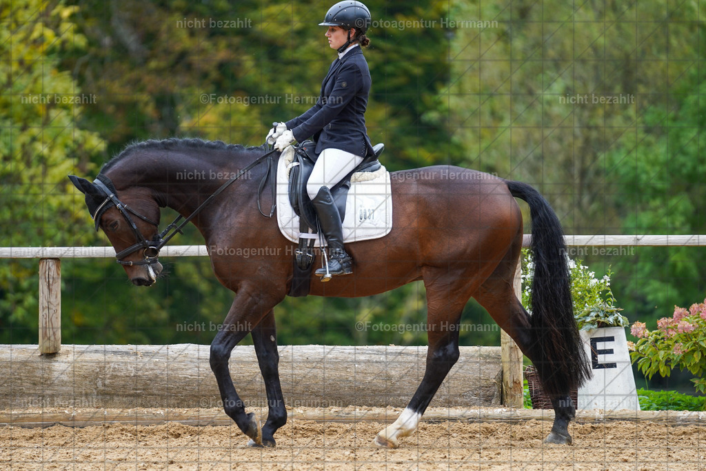 20221008-FAH01586 | Diessen am Ammersee, 2022, Dressur- und Springturnier, Reitsportbilder, Turnierfotografen Bayern, Pferdefotografen, Fotoagentur Herrmann, Turnierbilder