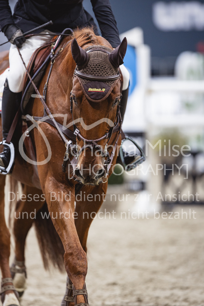 231028_Oldenburg_S1-Spr_Amateure-132 | Deine schönsten Turniermomente als professionelle Fotos! Entdecke hochwertige Pferdesport-Fotografie im Online-Shop. Jetzt Fotos finden & bestellen!