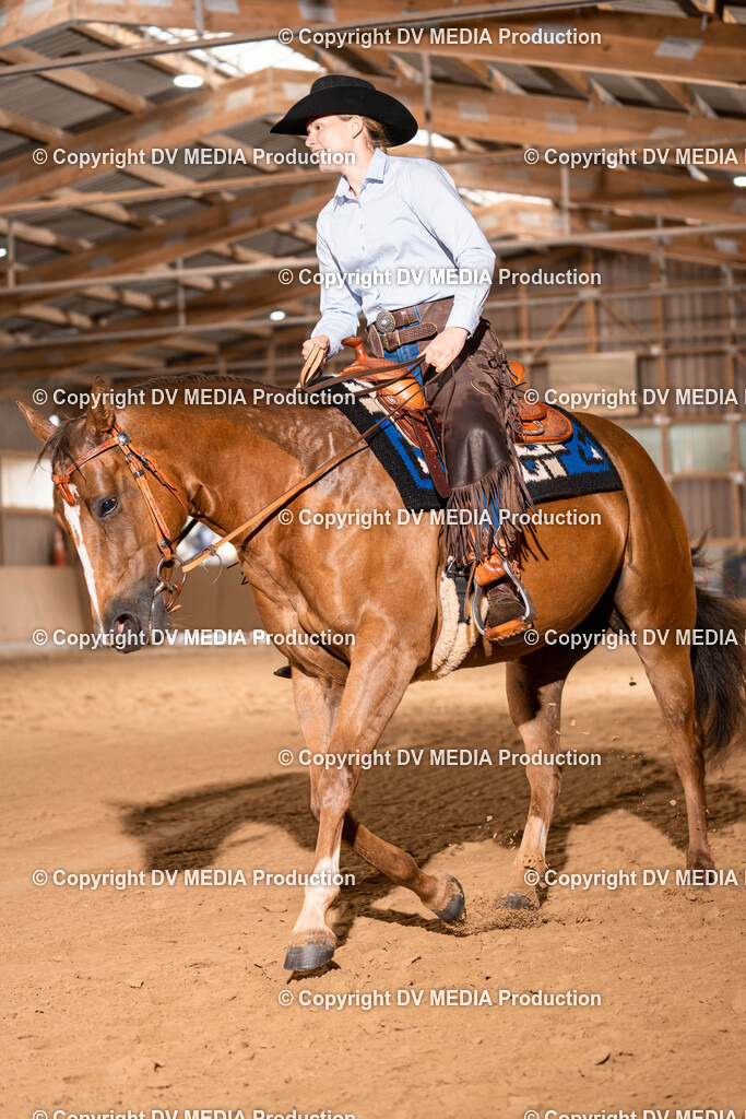 Losheim Tag 1-460 | dv-media-shop - Realisiert mit Pictrs.com