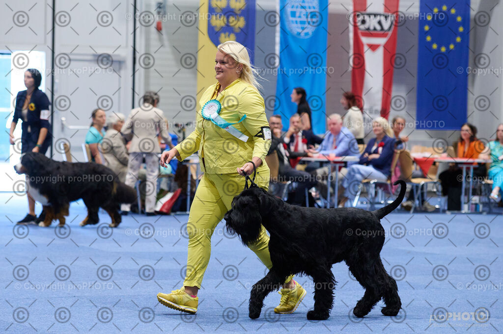 202406_ÖKV-IHA-Tulln24_DSC_2923 | proPHOTO - Realisiert mit Pictrs.com