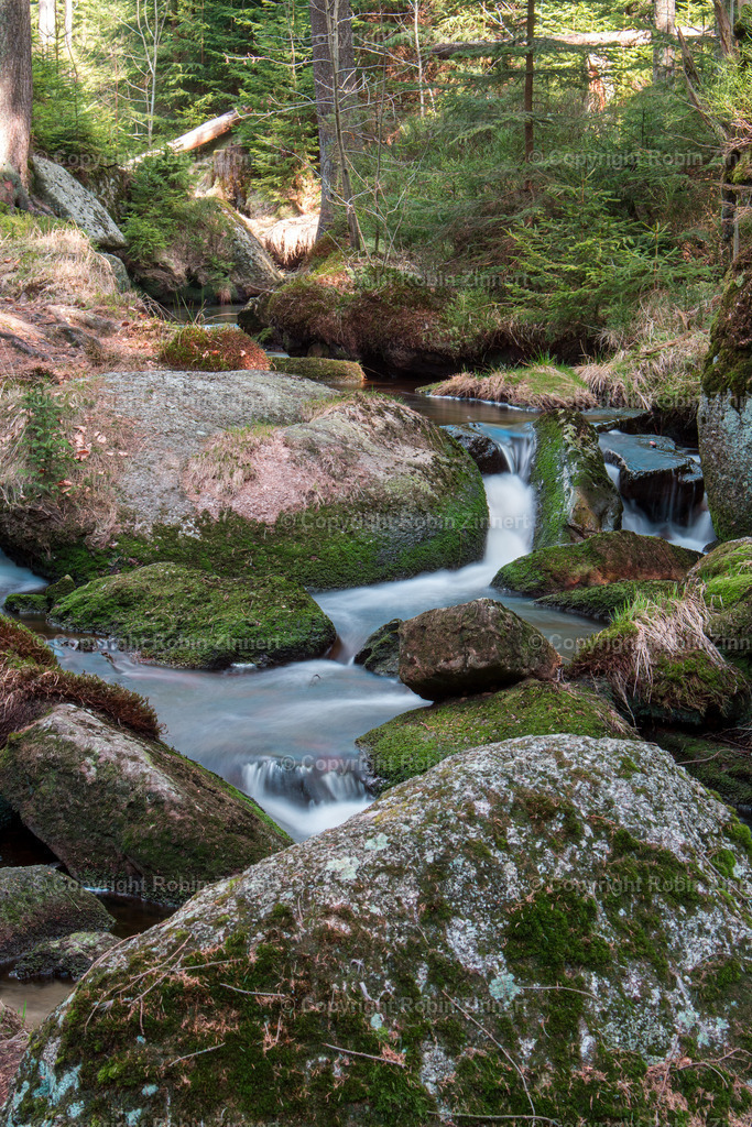 20200412-unbenannt-(C)RobinZinnert-IMG_0350 | Robin Zinnert - Realisiert mit Pictrs.com