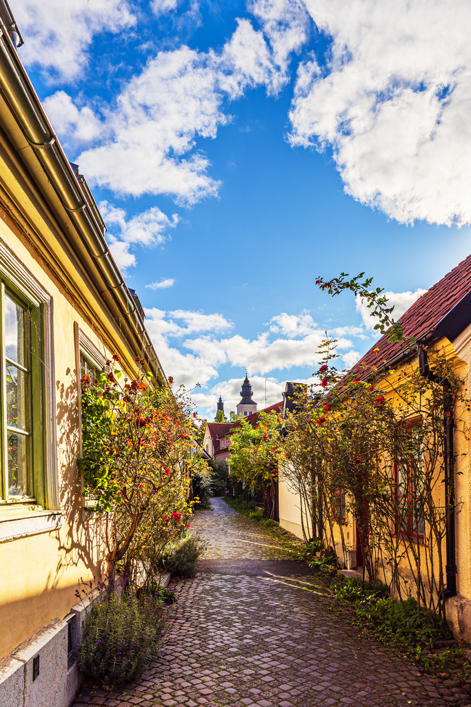 Die Straße Fiskargränd in der Altstadt von Visby auf Gotland | Die Straße Fiskargränd in der Altstadt von Visby auf Gotland.