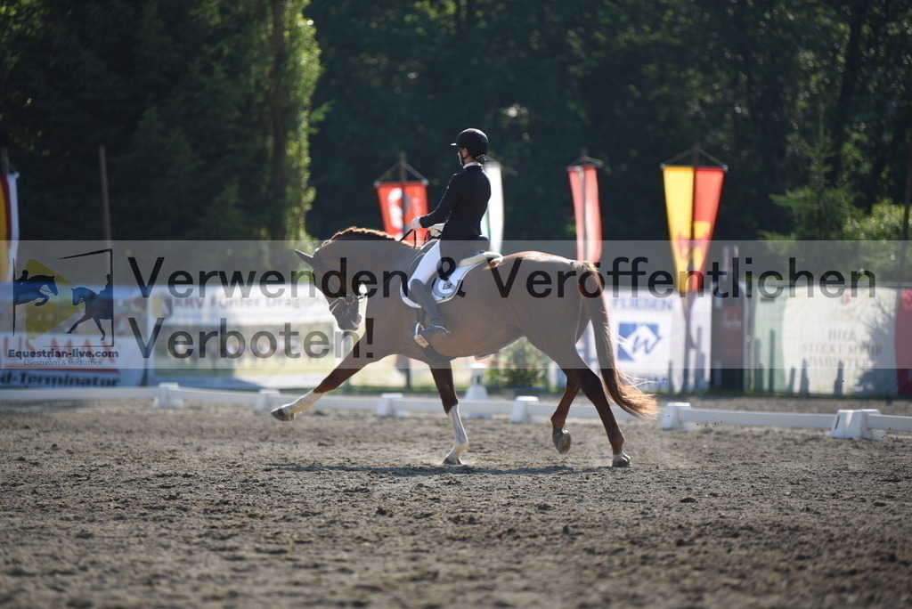 DSC_2801 | equestrian-live-com