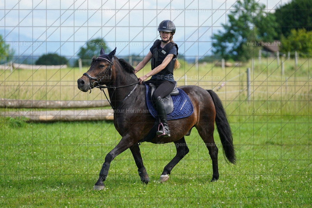 20240622-FAH07892 | Turnierfotografen Bayern, Reitsportbilder aus dem Geländekurs mit Felix Etzel auf dem Gut Waitzacker 2024