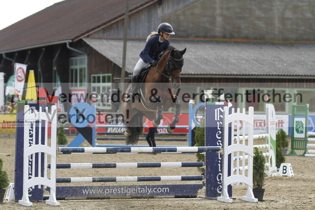 _MG_2412 | equestrian-live-com