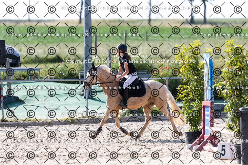 CL5A1235 | Emilia Reinking Fotografie - Realisiert mit Pictrs.com