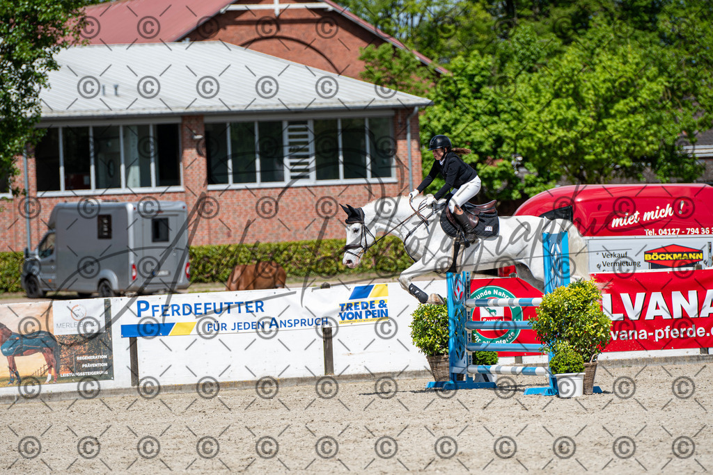 KPT_5331 | andre_photographic