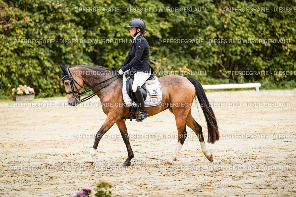 DSC02709 | Pferdegrafie