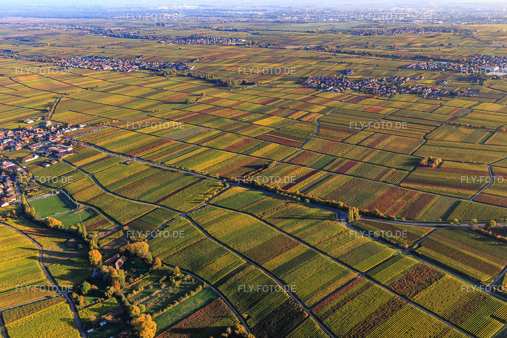 Herbstlicht bunte Reben der Weinberge bis Roschbach | Luftbild: Herbstlicht bunte Reben der Weinberge bis Roschbach in Flemlingen im Bundesland Rheinland-Pfalz in Deutschland. Foto: IMG_095670.jpg vom 30.10.2016 durch Werner Riehm/FLY-FOTO.de - Realisiert mit Pictrs.com