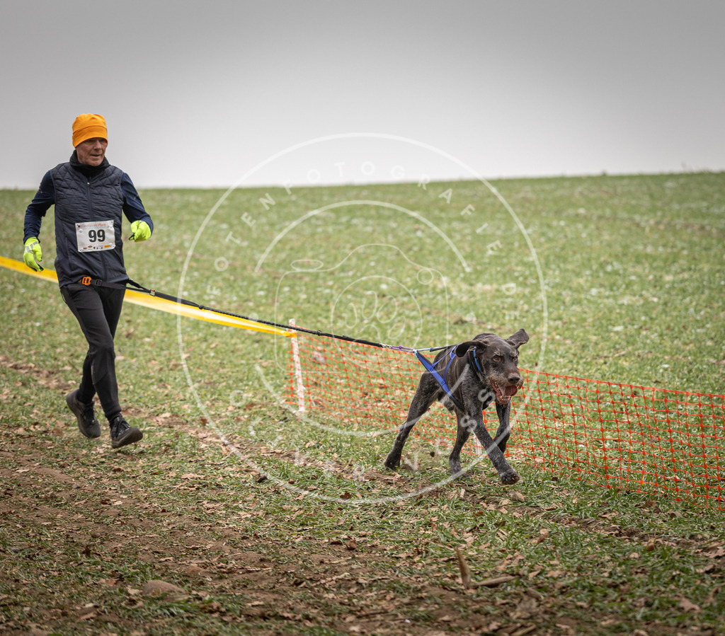 Pfotenfotografie_DV3A4955 | Hundefotografie, Tierfotograf, Pfotenfotografie, Fotoshooting Hund, Hunde Portrait, Hundesport, Hundeportraits, Heideshooting, Hunde, Sportfotograf, Hundefotograf, Turnierhundsport, THS,  - Realisiert mit Pictrs.com