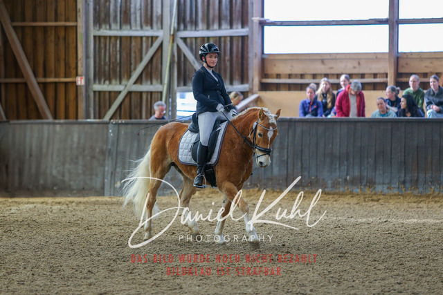 IMG_0967 | Turniersportfotografie; Pferdefotografie; Dressurfotografie