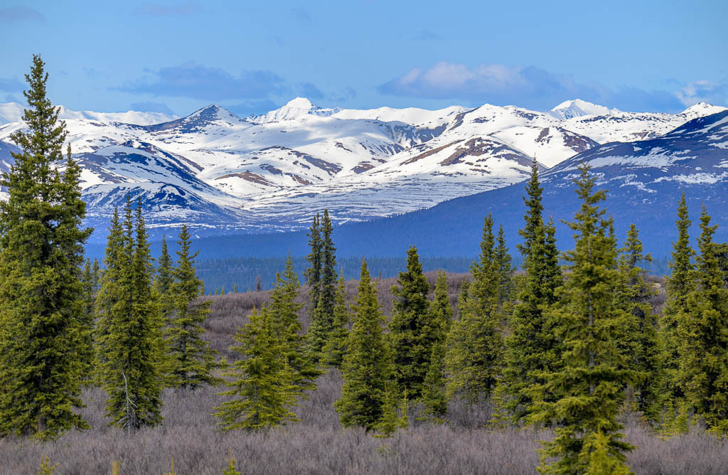 Alaska | Denali Highway - Realisiert mit Pictrs.com