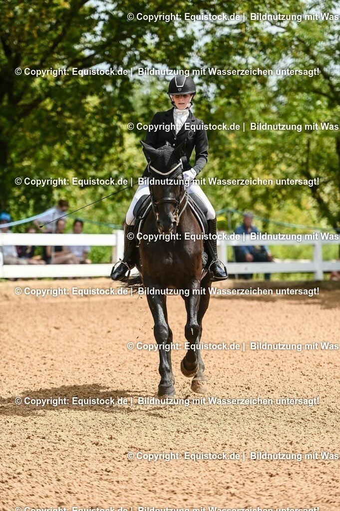 20230716_01_Dressurprüfung Kl.M_0024 | equistock