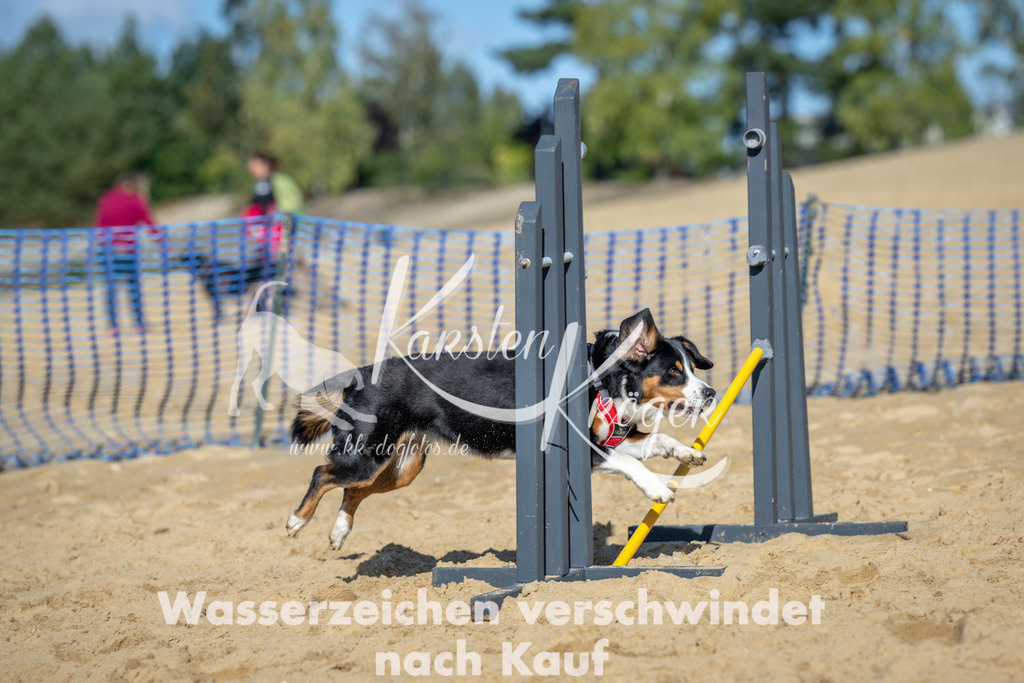 1124_ZZ91106 | kk-dogfotos