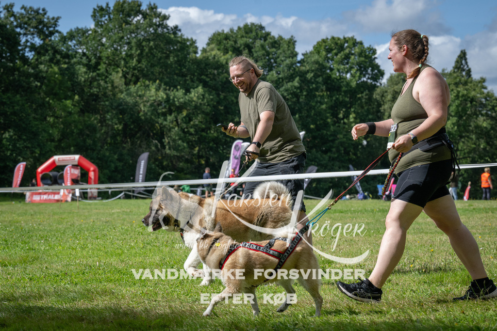 1540_ZZ93693 | kk-dogfotos