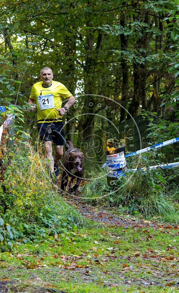 Pfotenfotografie_DV3A6454 | Hundefotografie, Tierfotograf, Pfotenfotografie, Fotoshooting Hund, Hunde Portrait, Hundesport, Hundeportraits, Heideshooting, Hunde, Sportfotograf, Hundefotograf, Turnierhundsport, THS,  - Realisiert mit Pictrs.com