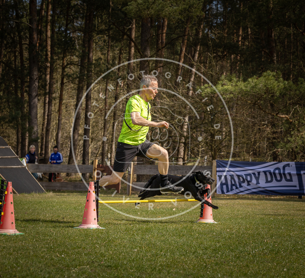 Pfotenfotografie_DV3A3149 | Hundefotografie, Tierfotograf, Pfotenfotografie, Fotoshooting Hund, Hunde Portrait, Hundesport, Hundeportraits, Heideshooting, Hunde, Sportfotograf, Hundefotograf, Turnierhundsport, THS,  - Realisiert mit Pictrs.com