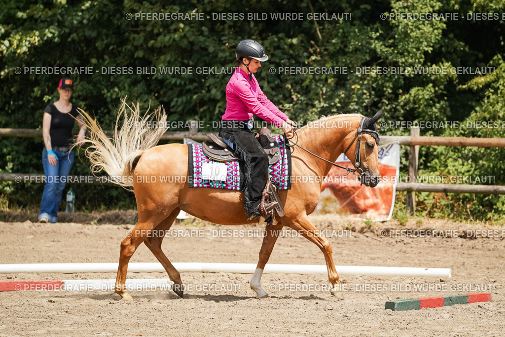 DSC08038 | Pferdegrafie