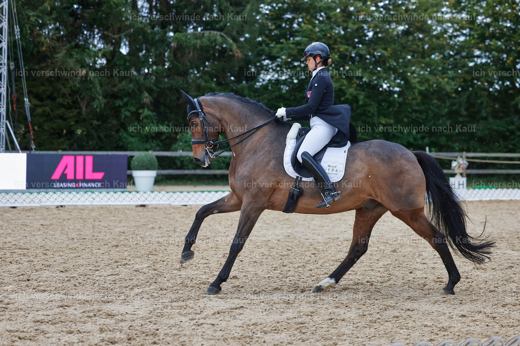 12-186-DRESSUR  S___  -StoibPH-5381 | working equitationturnier fotograf videograf stoibphotography marixx film working equitation deutschland reitsport turnierfotografie eventfotografie equestrian events