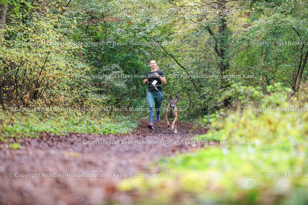 THS-HSV-Blumenthal-2026-Nickbest-Hundefotografie-0526 | Dein Hund! Dein Moment! Deine Erinnerungen! Hundefotografie in Bremen Blumenthal. Ich fange die besonderen Momente deines Vierbeiners ein – ob Indoor mit Blitzanlage oder in der freien Natur. Sicher dir dein Moment und dein Termin für eure Erinnerungen.