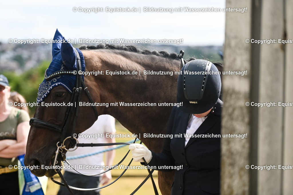 20230716_01_Dressurprüfung Kl.M_0599 | equistock
