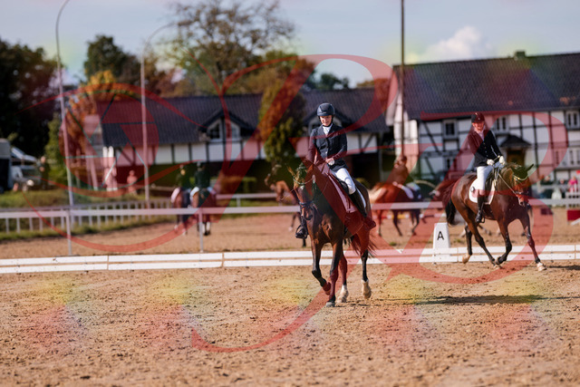 2026_10_03_Siefer-Hof_125841_Z81_48897030 | Professionelle Reitsport-, Turnier- und Eventfotografie von Robert Broda. Galerien mit ausgewählten und bearbeiteten Bildern direkt online ansehen und bestellen.