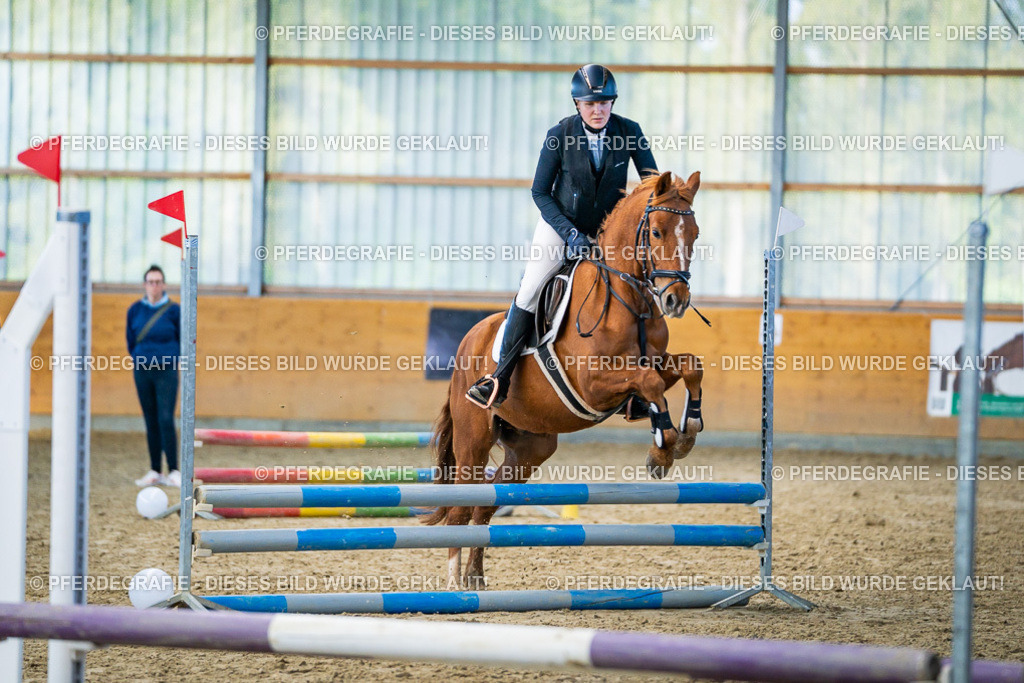 DSC01045 | Pferdegrafie