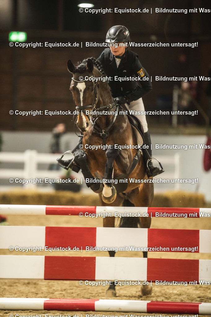 20240302_Hengstvorstellung_Marbach_TOMsPiC_1384 | equistock