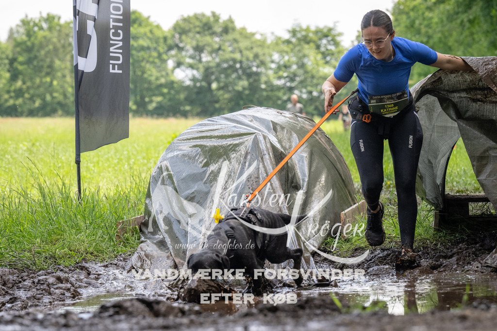 1148_ZZ94576 | kk-dogfotos