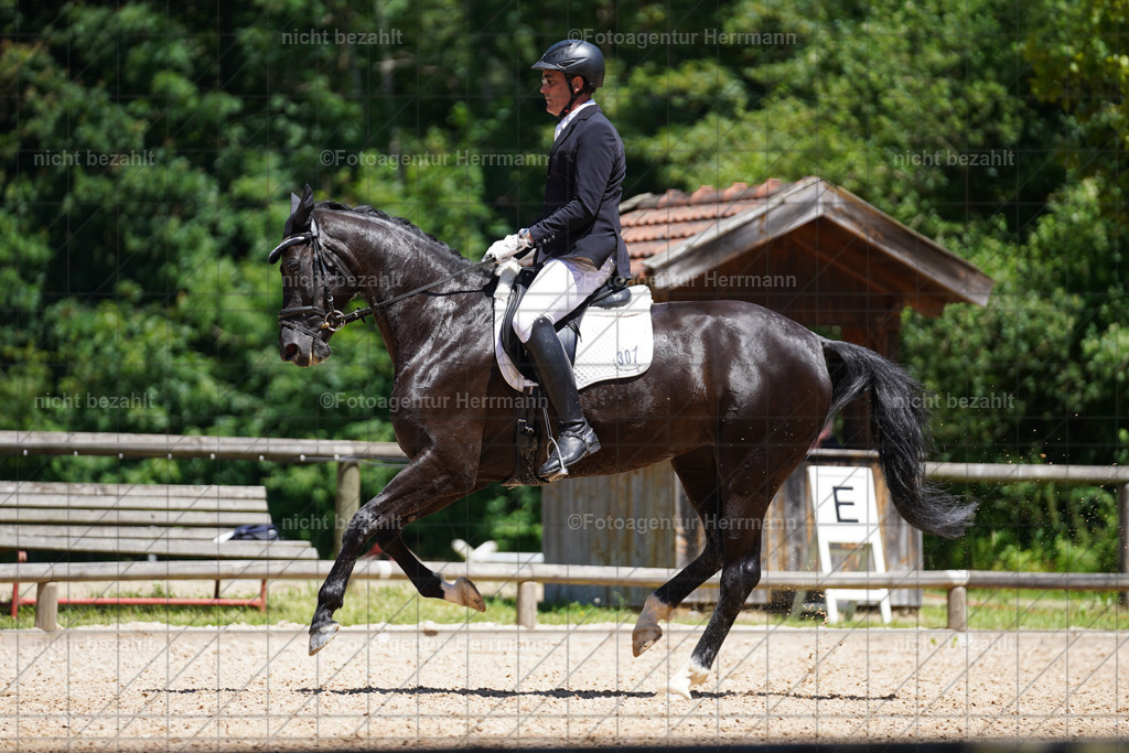 20240705-FAH03938 | Turnierbilder von Grafing, Reitsportbilder, Turnierfotos, Turnierfotografen Bayern, Pferdefotograf, Fotoagentur Herrmann
