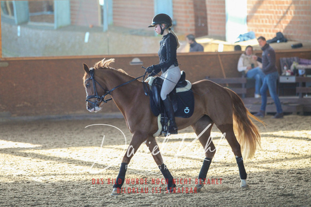 DKP42166 | Turniersportfotografie; Pferdefotografie; Dressurfotografie