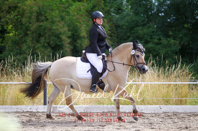 DKP45875 | Turniersportfotografie; Pferdefotografie; Dressurfotografie