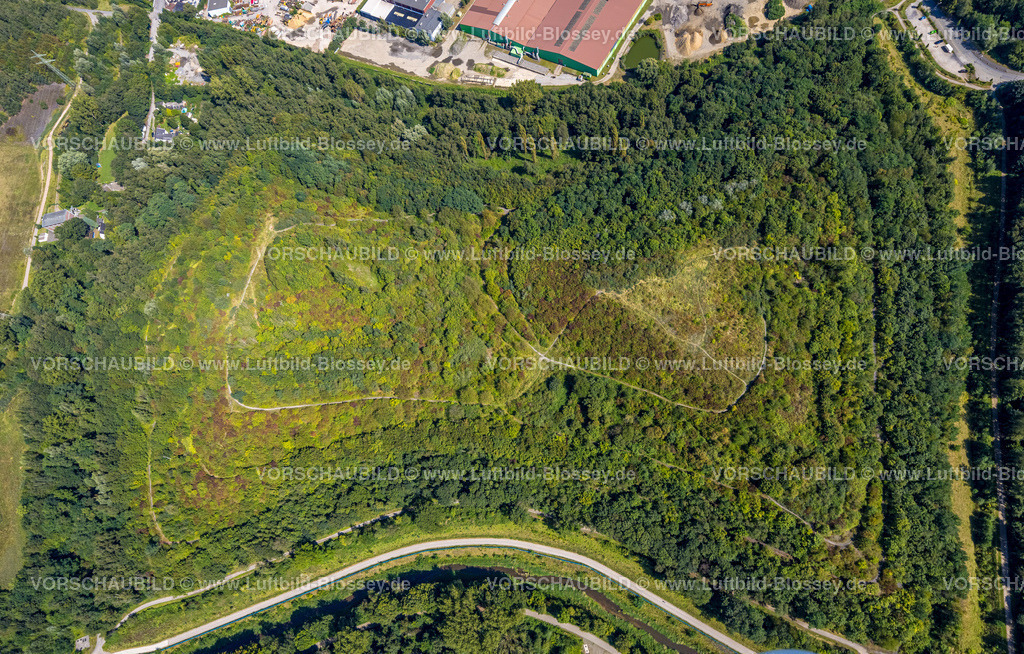 Gladbeck240806969 | Luftbild, Halde Heringstraße Waldgebiet, Brauck, Gladbeck, Ruhrgebiet, Nordrhein-Westfalen, Deutschland