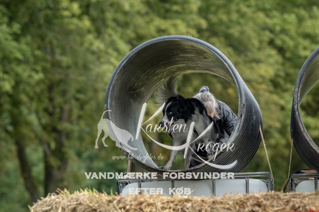 1147_ZZ90528 | kk-dogfotos