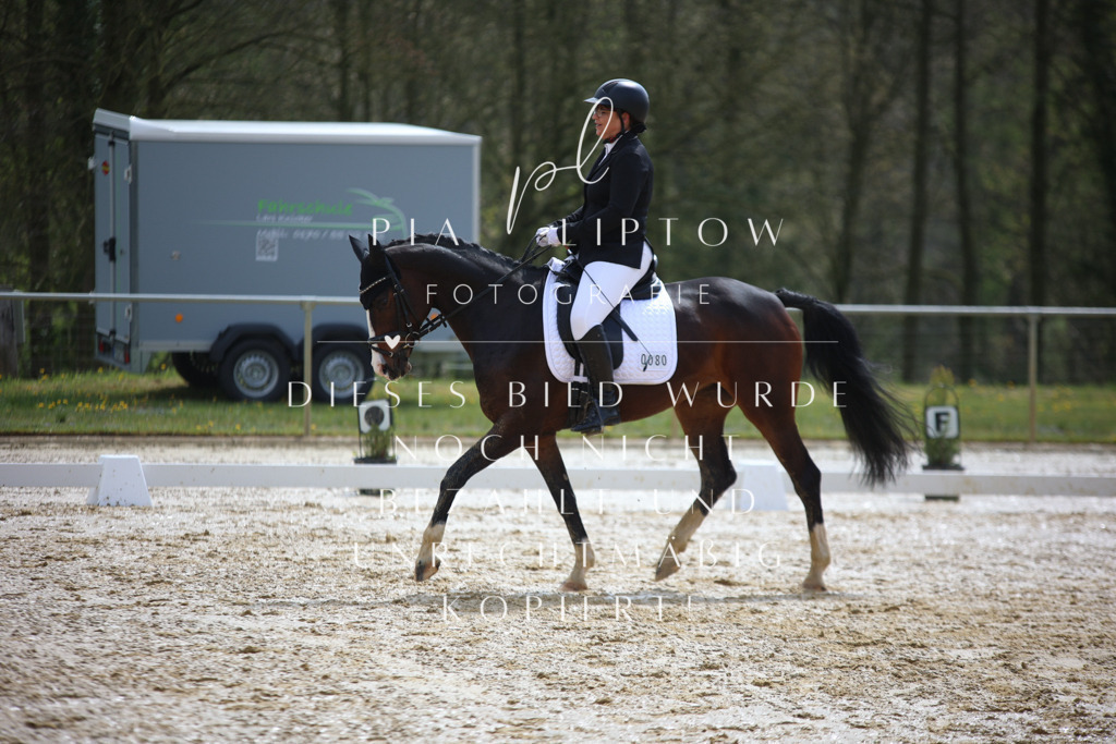 IMGT2598 | pl-fotografie