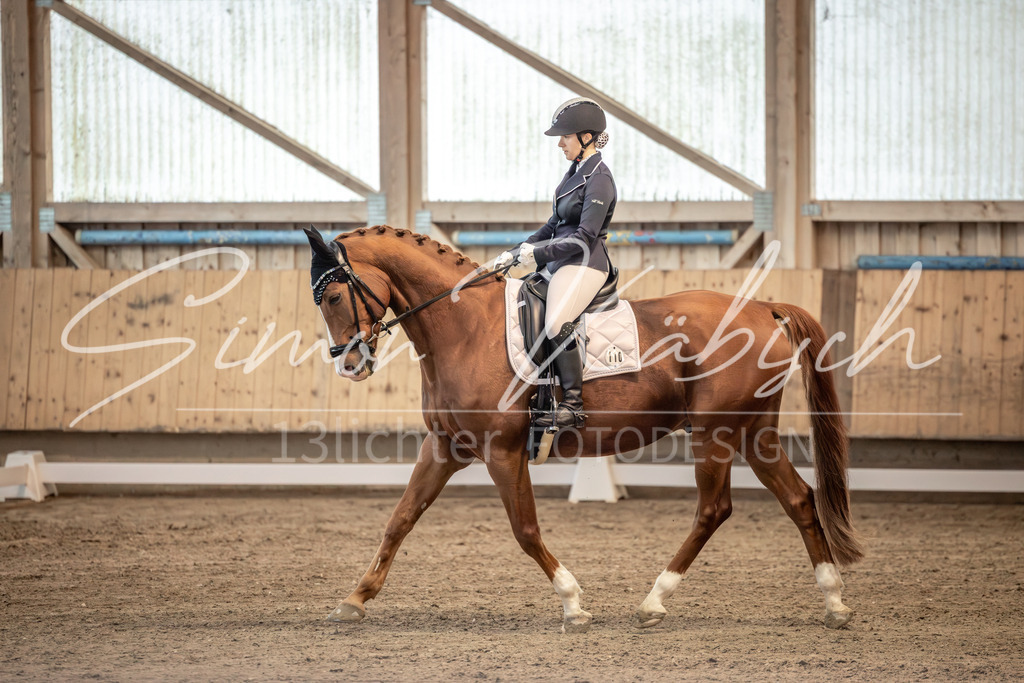 20251011-_3LI5730 | Tierfotografie Pferde, Hunde, Katzen, Haustiere.
Turnierfotografie Reitturniere, Reiten, Springreiten, Dressur in Hanau, dem Main-Kinzig-Kreis und dem Rhein-Main- Gebiet um Frankfurt