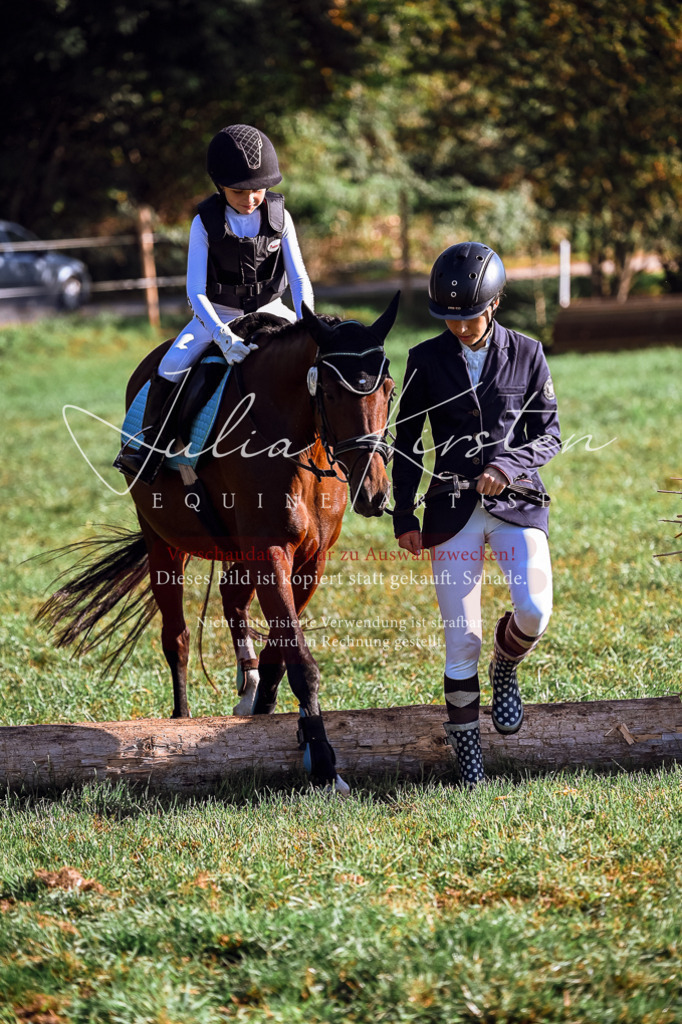 DSC_0266 | Pferde- und Turnierfotografie in Westsachsen. Pferdeportraits, Auftragszeichnungen und intuitive Kunst.