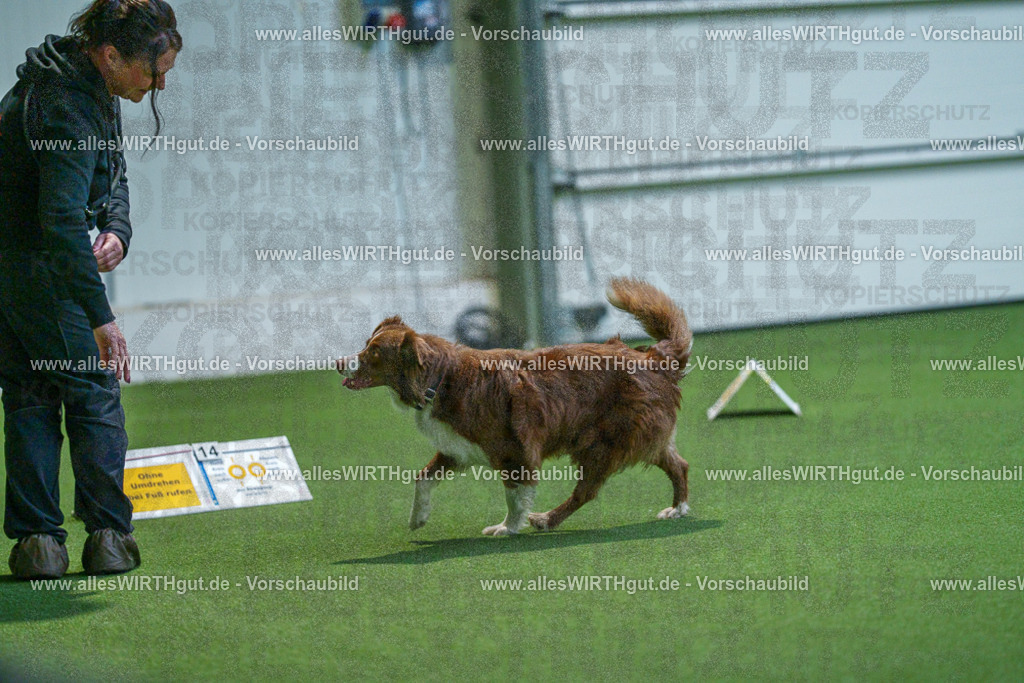 7R501733 | Professionelle Tierfotografie in Mönchengladbach von Daniel Wirth (allesWIRTHgut). Liebevolle & natürliche Bilder von Hunden & Katzen für unvergessliche Erinnerungen.