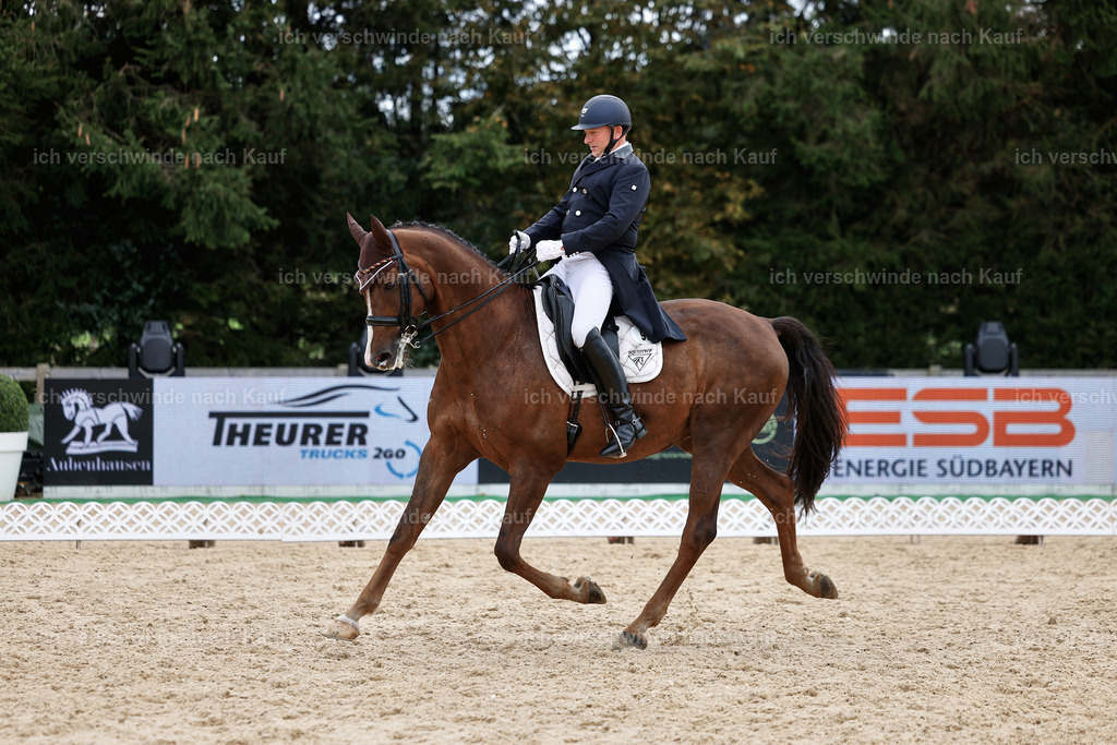 11-092-Dressur S___-StoibPH-1316 | working equitationturnier fotograf videograf stoibphotography marixx film working equitation deutschland reitsport turnierfotografie eventfotografie equestrian events