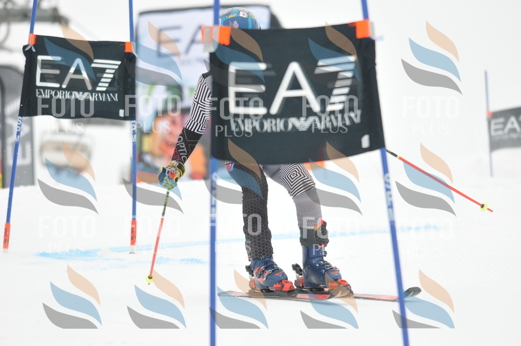 DSC_7966 | holidayphoto