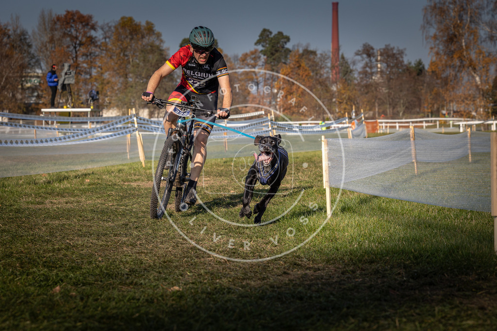 CaniXpix_0L8A6749 | Hundefotografie, Tierfotograf, Pfotenfotografie, Fotoshooting Hund, Hunde Portrait, Hundesport, Hundeportraits, Heideshooting, Hunde, Sportfotograf, Hundefotograf, Turnierhundsport, THS,  - Realisiert mit Pictrs.com