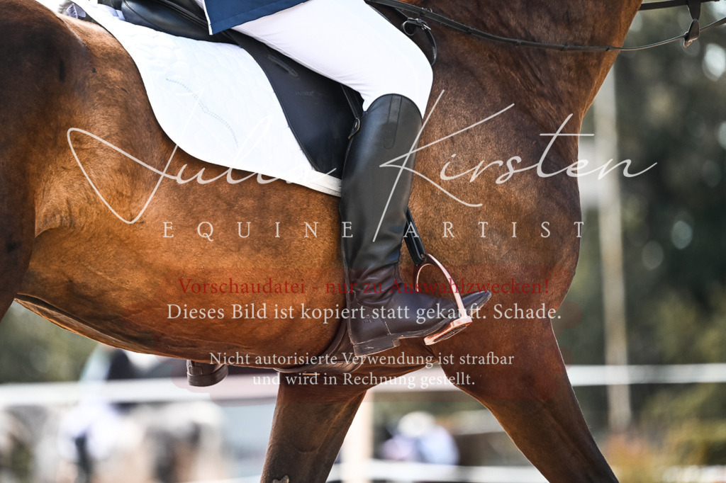 DSC_5459 | Pferde- und Turnierfotografie in Westsachsen. Pferdeportraits, Auftragszeichnungen und intuitive Kunst.