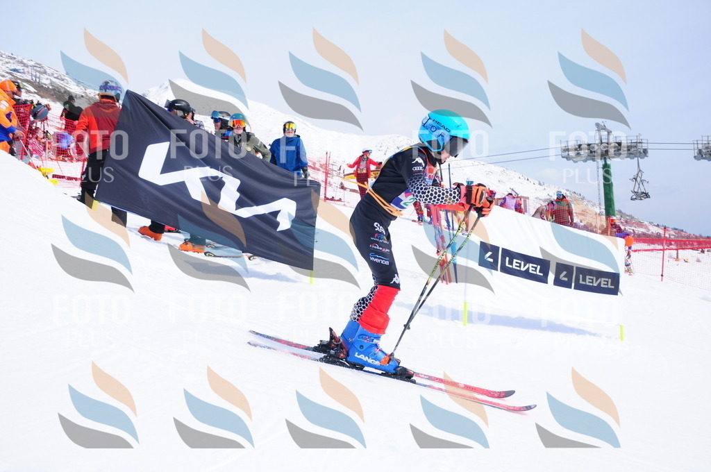 DSC_1960 | holidayphoto