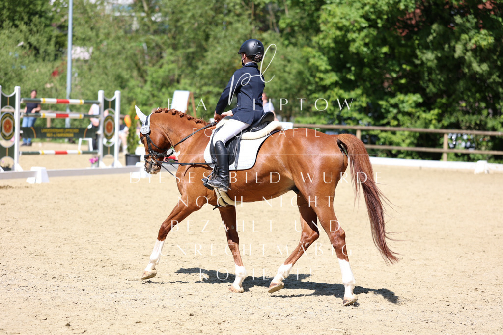 IMGS3289 | pl-fotografie